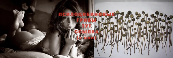 героин Рославль