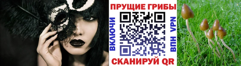 Купить закладки  Лукоянов  Галлюциногенные грибы MAGIC MUSHROOMS 